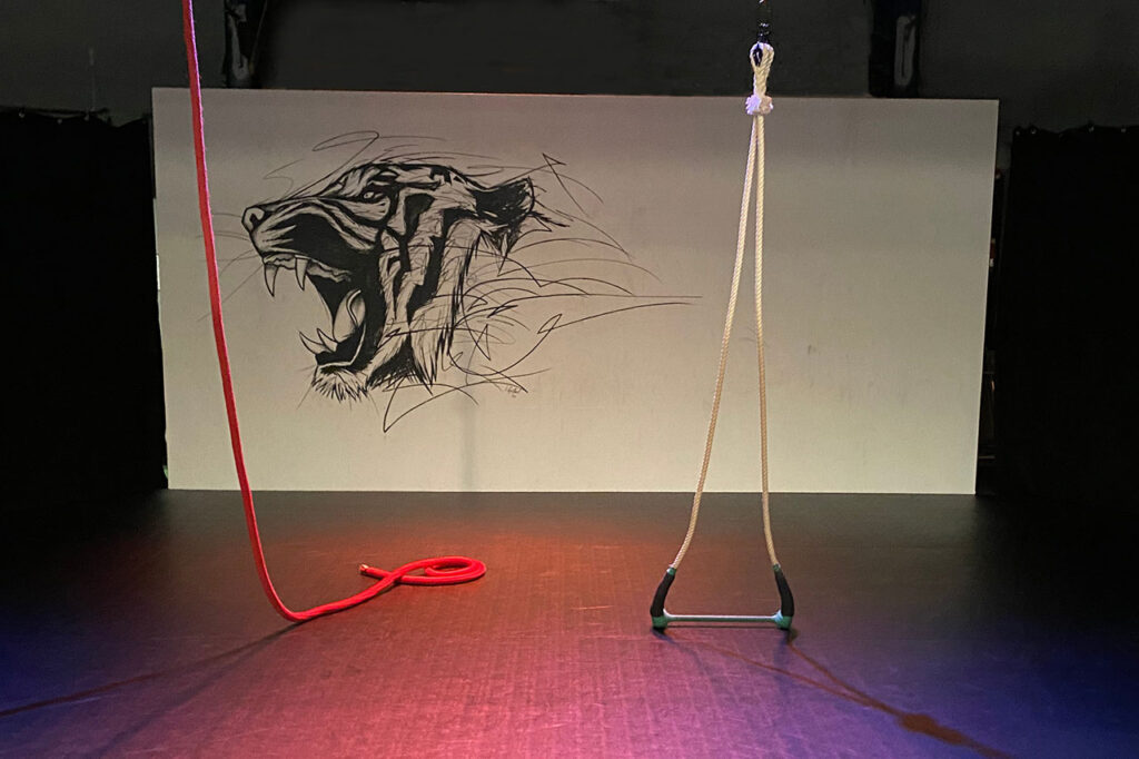 Doing Circus